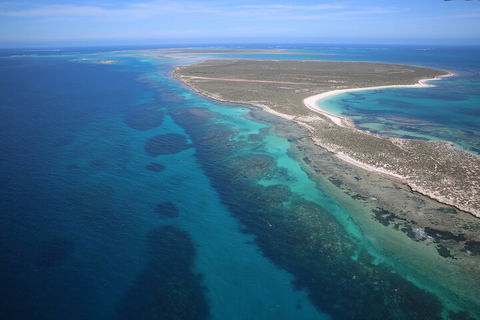 Pink Lake + Abrolhos Islands Scenic Flight - Accommodation Cooktown 0