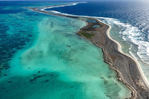 Pink Lake + Abrolhos Islands Scenic Flight - Accommodation Cooktown 3