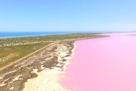 Pink Lake + Abrolhos Islands Scenic Flight - Accommodation Cooktown 4