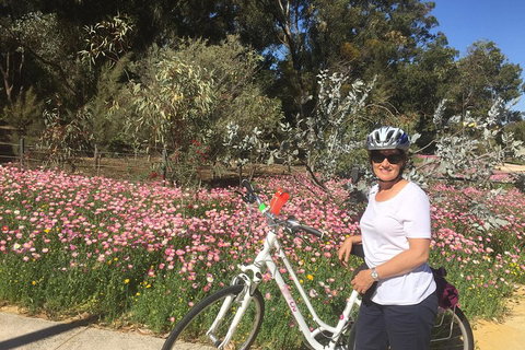 Perth Bike Tour - Beautiful Matilda Bay And Kings Park - Accommodation Cooktown 1