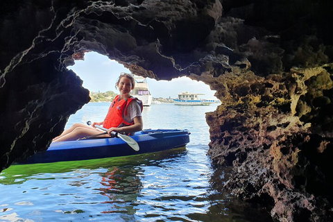 Cliffs And Caves Kayak Tour In Swan River - Accommodation Cooktown 1