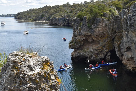 Cliffs And Caves Kayak Tour In Swan River - Accommodation Cooktown 5