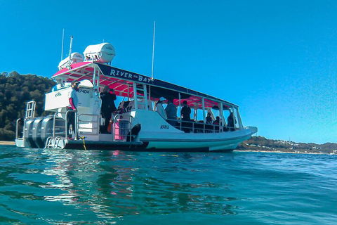 Best Of Moreton Bay Cruise - Accommodation Cooktown 0