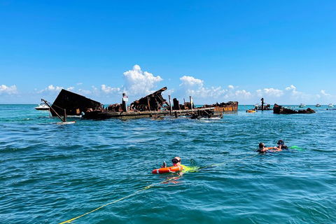 Best Of Moreton Bay Cruise - Accommodation Cooktown 5