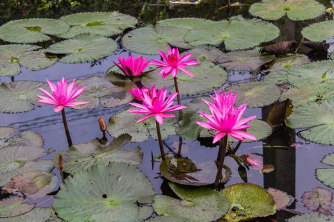 Kakadu, Nourlangie And Yellow Waters Tour From Darwin - Accommodation Cooktown 1