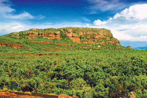 Kakadu, Nourlangie And Yellow Waters Tour From Darwin - Accommodation Cooktown 3
