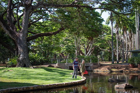 Darwin City Sights And Jumping Crocodile Cruise - Accommodation Cooktown 5