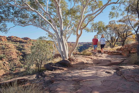 3-Day Tour From Uluru (Ayers Rock) To Alice Springs Via Kings Canyon - Accommodation Cooktown 1