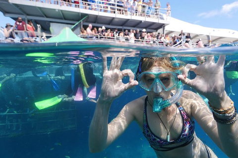Great Barrier Reef Day Cruise From Cairns Including Snorkeling And Marine Biologist Presentation - Accommodation Cooktown 0