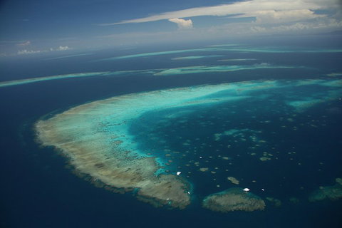 Great Barrier Reef Day Cruise From Cairns Including Snorkeling And Marine Biologist Presentation - Accommodation Cooktown 1