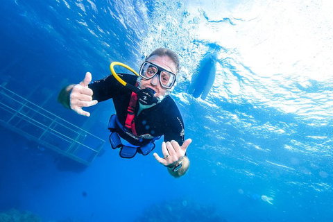 Great Barrier Reef Day Cruise From Cairns Including Snorkeling And Marine Biologist Presentation - Accommodation Cooktown 3