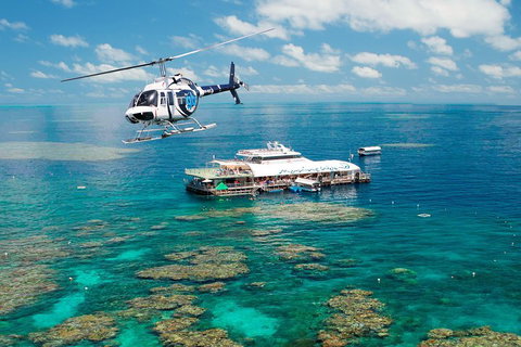 Great Barrier Reef Day Cruise From Cairns Including Snorkeling And Marine Biologist Presentation - Accommodation Cooktown 5