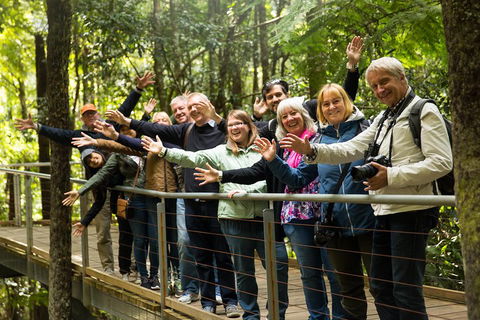 All Inclusive Blue Mountains Small-Group Day Trip From Sydney - Accommodation Cooktown 5