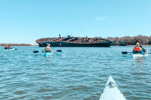 Kayak Tour In Adelaide Dolphin Sanctuary - Accommodation Cooktown 3