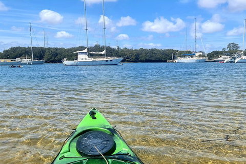 Kayak Tour In Adelaide Dolphin Sanctuary - Accommodation Cooktown 4