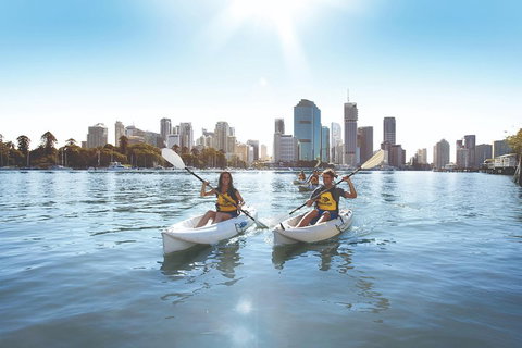 Brisbane Kayak Tour - Accommodation Cooktown 0