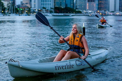 Brisbane Kayak Tour - Accommodation Cooktown 2