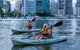 Brisbane Kayak Tour - thumb 3