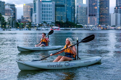 Brisbane Kayak Tour - Accommodation Cooktown 3