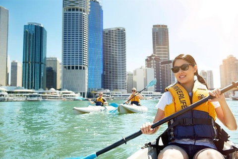 Brisbane Kayak Tour - Accommodation Cooktown 5