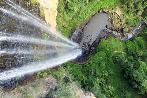 Natural Bridge & Springbrook Waterfalls Tour + Hot Air Balloon With Breakfast - Accommodation Cooktown 1