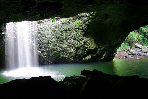Natural Bridge & Springbrook Waterfalls Tour + Hot Air Balloon With Breakfast - Accommodation Cooktown 2