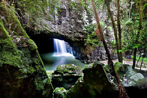 Natural Bridge & Springbrook Waterfalls Tour + Hot Air Balloon With Breakfast - Accommodation Cooktown 4