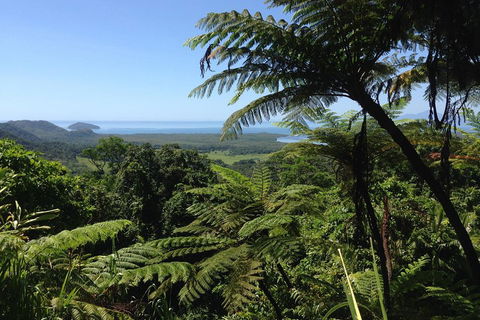 Daintree And Cape Tribulation Full Day Guided Tour - Accommodation Cooktown 2