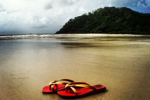 Daintree And Cape Tribulation Full Day Guided Tour - Accommodation Cooktown 4