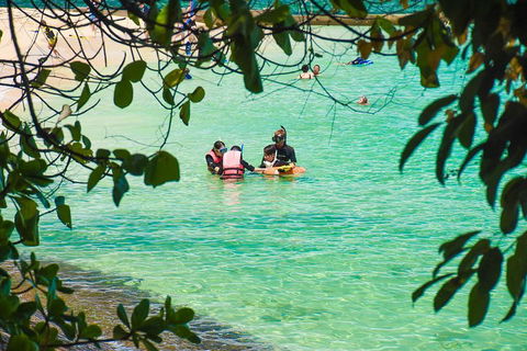 Green Island Day Trip From Cairns - Accommodation Cooktown 2