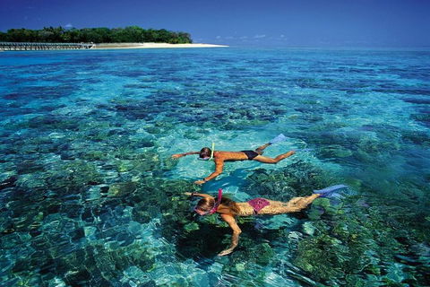 Green Island Day Trip From Cairns - Accommodation Cooktown 5