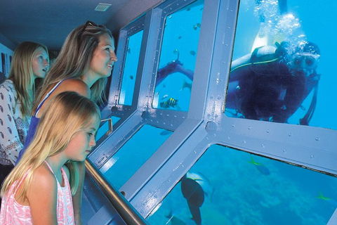 Quicksilver Outer Great Barrier Reef Snorkel Cruise From Palm Cove - Accommodation Cooktown 0