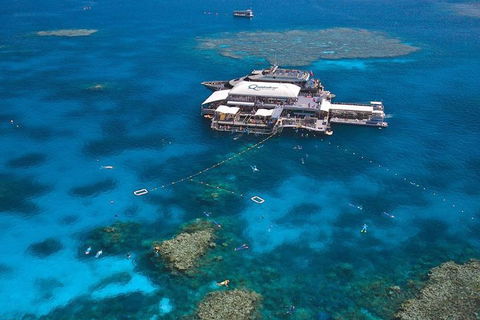 Quicksilver Outer Great Barrier Reef Snorkel Cruise From Palm Cove - Accommodation Cooktown 1