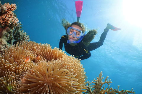 Quicksilver Outer Great Barrier Reef Snorkel Cruise From Palm Cove - Accommodation Cooktown 2