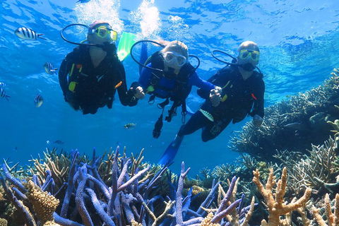 Quicksilver Outer Great Barrier Reef Snorkel Cruise From Palm Cove - Accommodation Cooktown 3