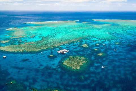 Quicksilver Outer Great Barrier Reef Snorkel Cruise From Palm Cove - Accommodation Cooktown 4