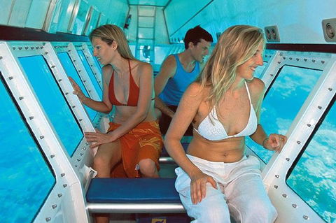 Quicksilver Outer Great Barrier Reef Snorkel Cruise From Palm Cove - Accommodation Cooktown 5