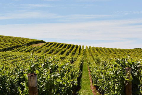 West Tamar Wine Tour - Accommodation Cooktown 2