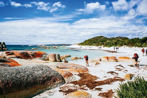 Wineglass Bay Private Charter Service - Accommodation Cooktown 3