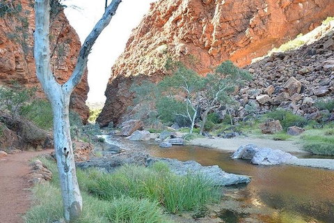 Alice Springs, Uluru Ayers Rock & Kings Canyon 8 Days Touring Package - Accommodation Cooktown 2