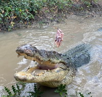 Top End Waterfalls and Wetlands - Accommodation Cooktown