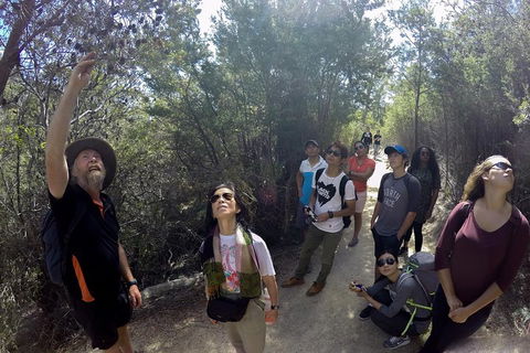 Active Day Tour One-Way From Launceston To Hobart Via Wineglass Bay - Accommodation Cooktown 0
