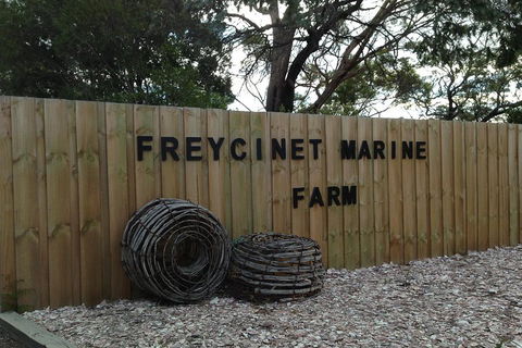 Active Day Tour One-Way From Launceston To Hobart Via Wineglass Bay - Accommodation Cooktown 3