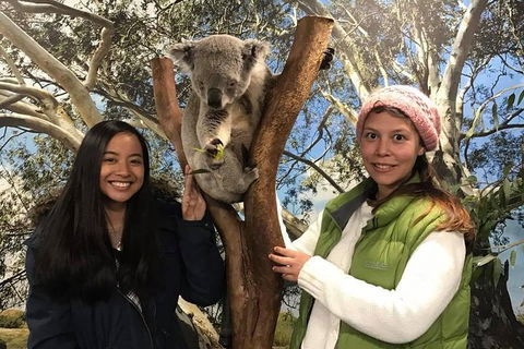 Australia Multi-City Attractions Pass - Accommodation Cooktown 3