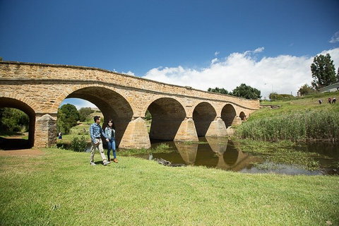 Bonorong Wildlife Park And Richmond Afternoon Tour From Hobart - Accommodation Cooktown 0