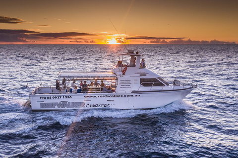 Kalbarri Sunset Coastal Cliff Cruise - Accommodation Cooktown 2