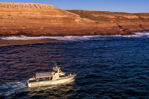 Kalbarri Sunset Coastal Cliff Cruise - Accommodation Cooktown 4