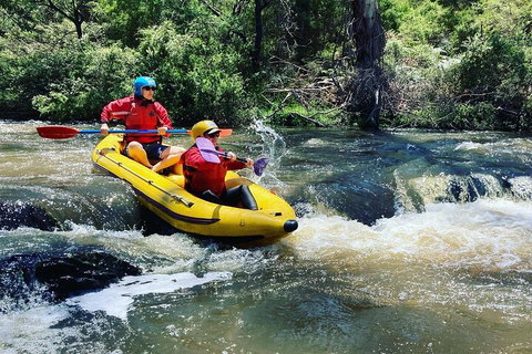 Yarra River Half-Day Rafting Experience - Accommodation Cooktown 4