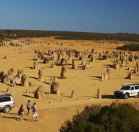 1-Day Pinnacles and Yanchep Tour from Perth including Fish and Chips Lunch - Accommodation Cooktown