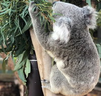 Private Blue Mountains and Wildlife Park Tour from Sydney with Barbecue Lunch - Accommodation Cooktown